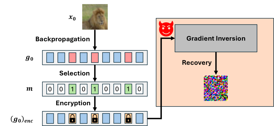 selective_encryption.png